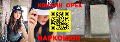 jwh Моздок