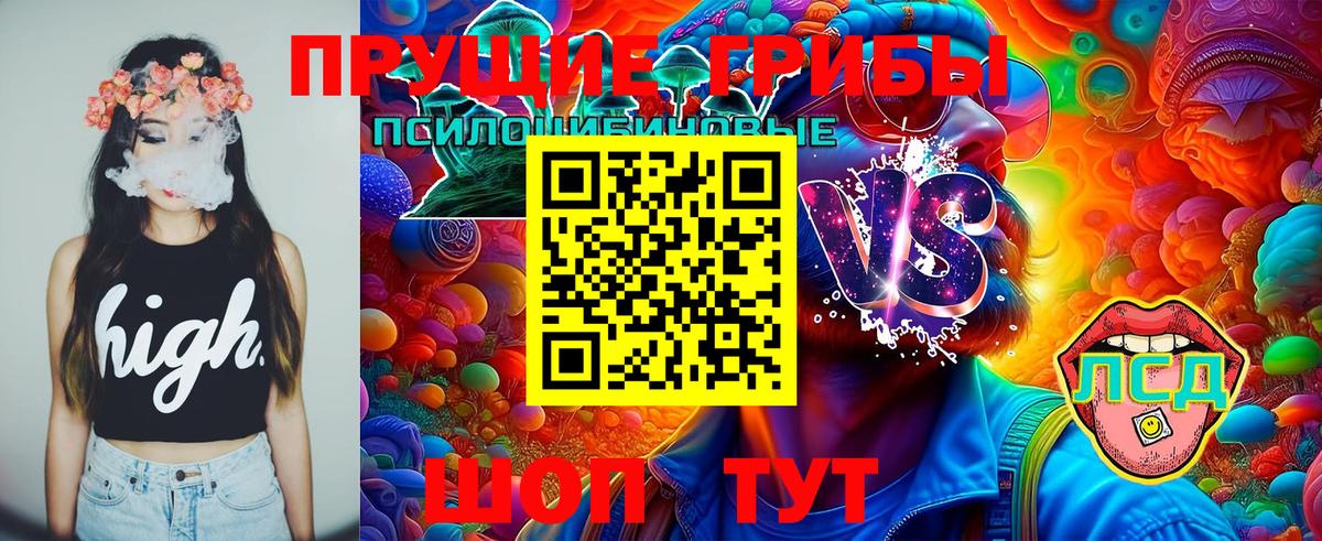 Псилоцибиновые грибы ЛСД Среднеуральск